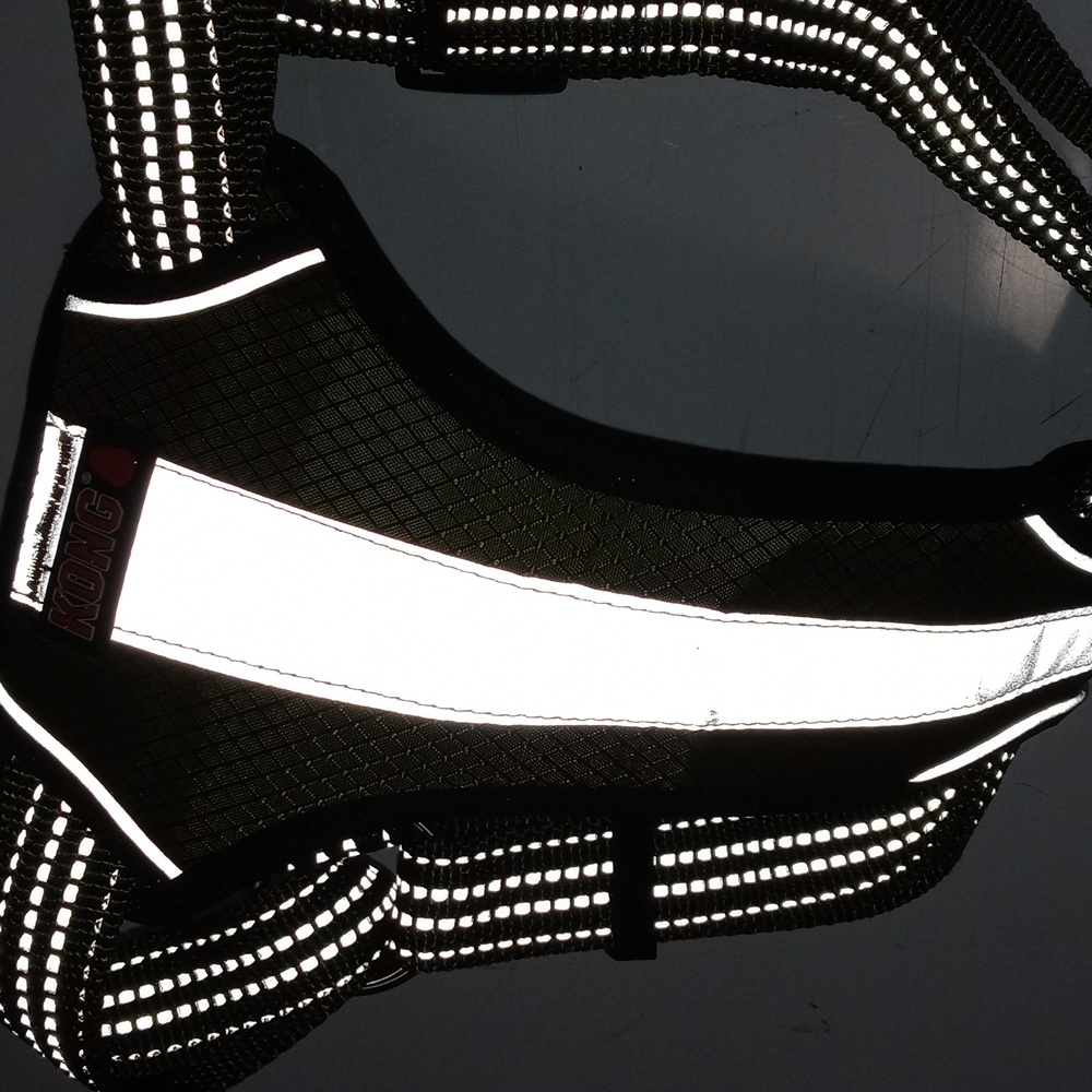 Kong reflective harness